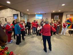 zuid-aan-zee-2024-12-15-jody 13